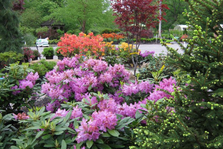 Garden Center Meyer Landscape