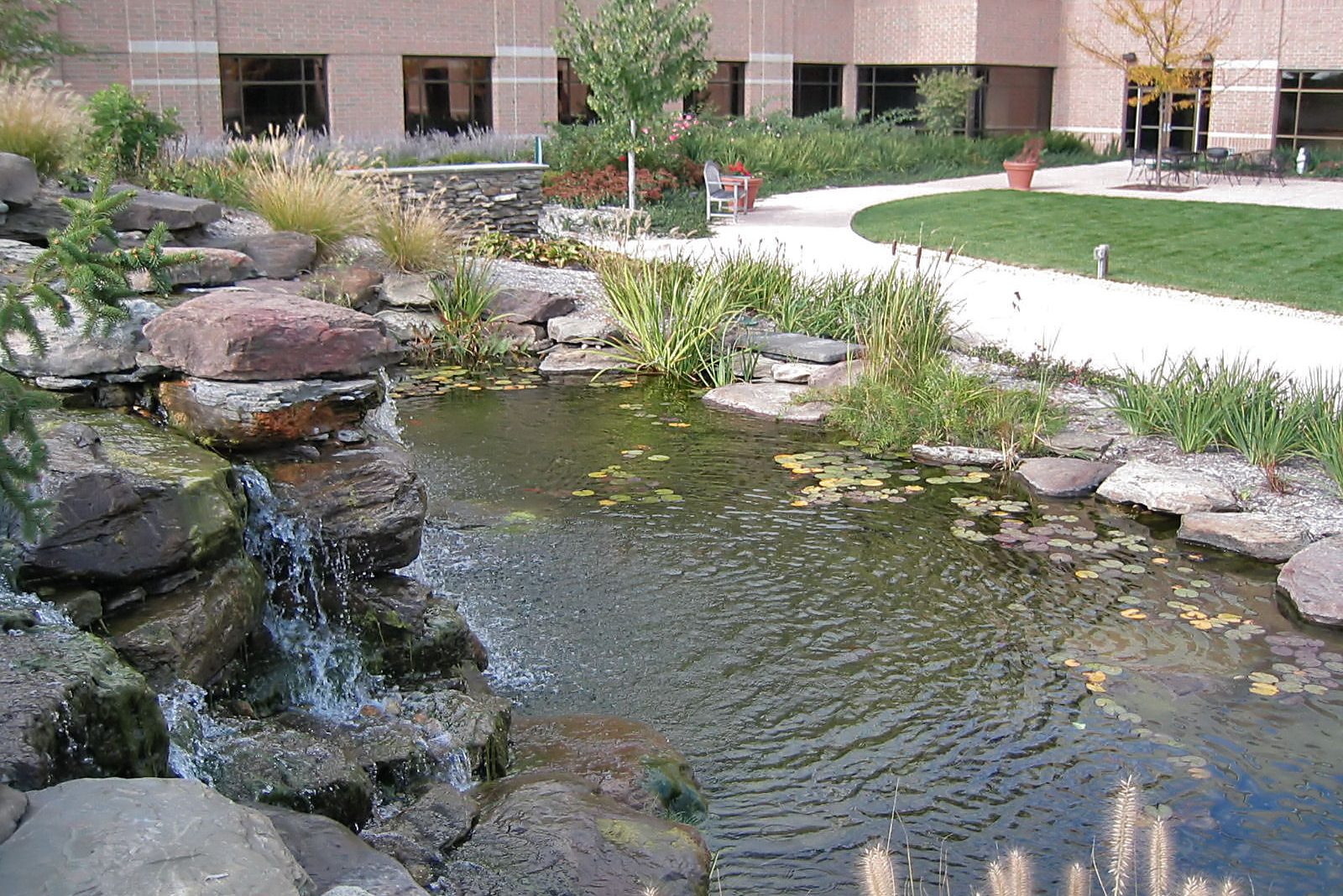 Commercial Meyer Landscape