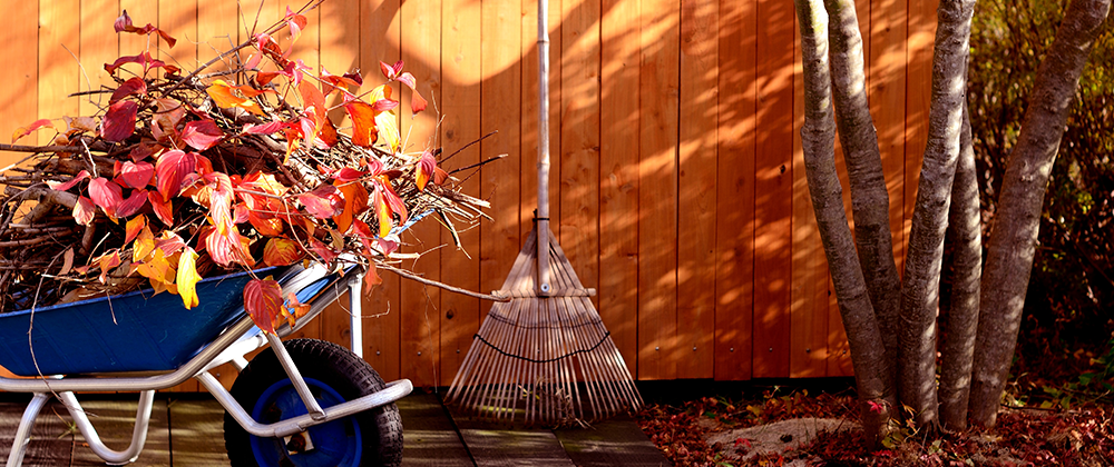 Fall Yard Clean-up and Winter Prep photo
