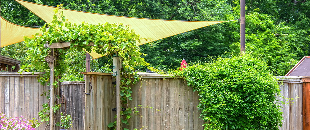 meyer-landscape-shade-for-the-patio-shade-sails