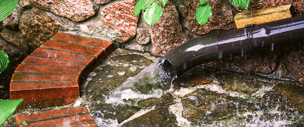 Do You Have Any of These Common Drainage Issues? photo