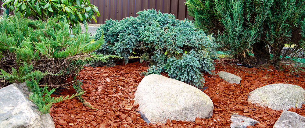 meyer-landscape-mulch-FAQ-red-mulched-bed