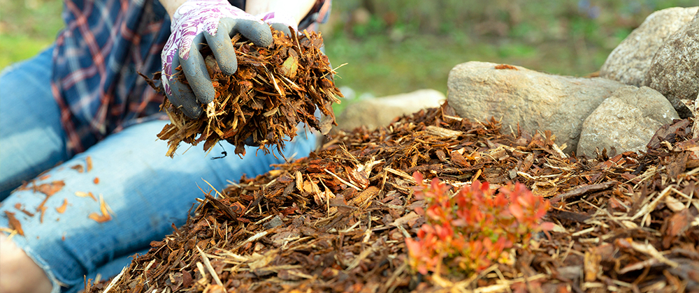meyer-landscape-mulch-FAQ-woman-laying-mulch