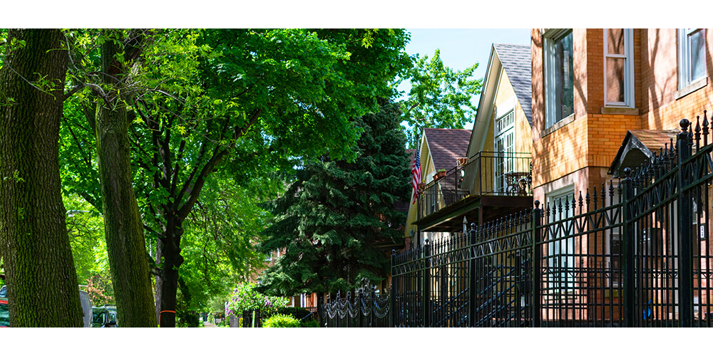 meyer-landscape-plant-a-tree-big-trees-in-illinois-iowa-neighborhood