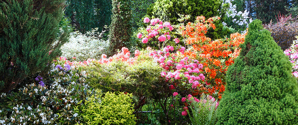 meyer low maintenance landscape ideas flowering shrubs