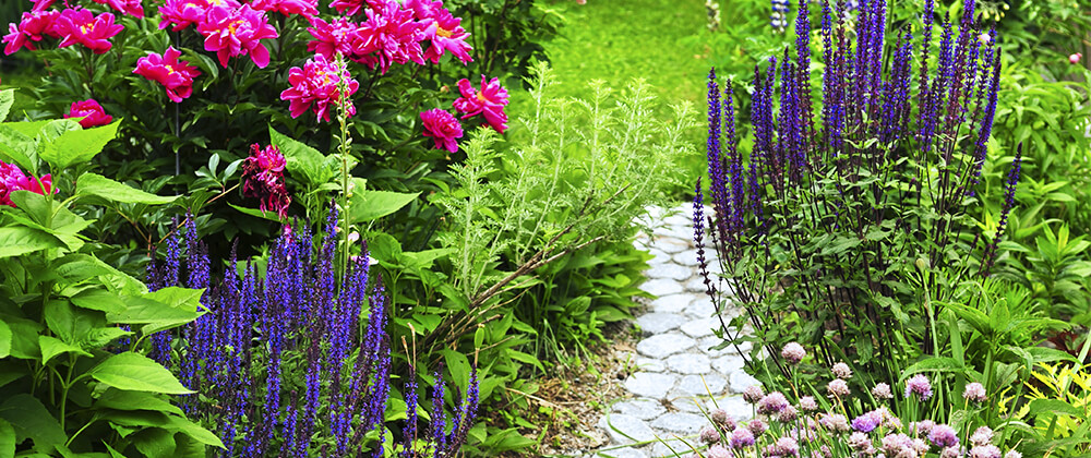 meyer low maintenance landscape ideas flowers and garden pathway