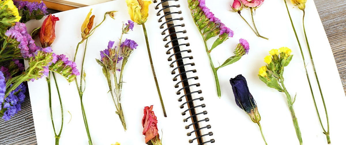Meyer Landscape-How to create a garden vision board-dried flowers in notebook